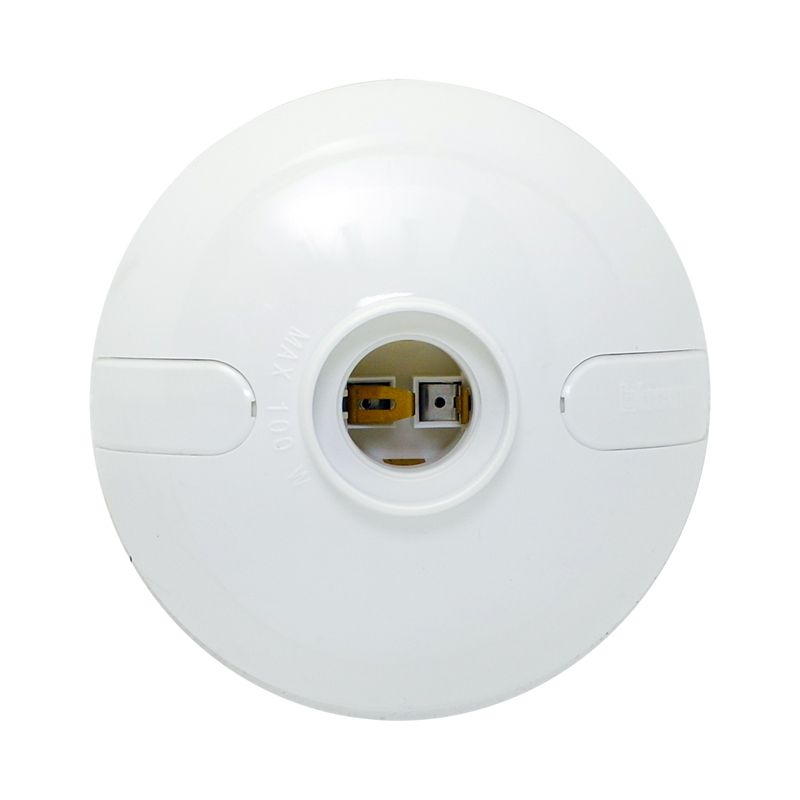 PLAFON COLOR BLANCO C. P21B CAT NVO P21W