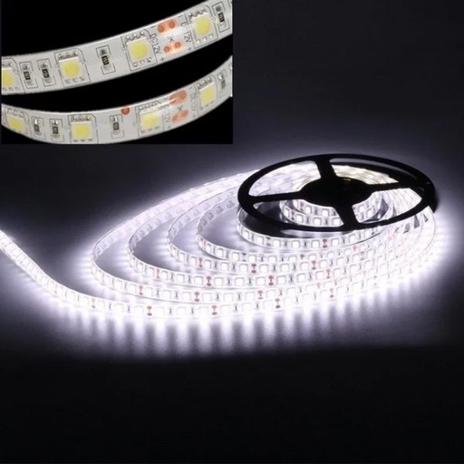 [O17123A] CINTA LED KIT (DRIVER+TIRA) 5MTS 36W 100-240V 6500K 1800LM IP65